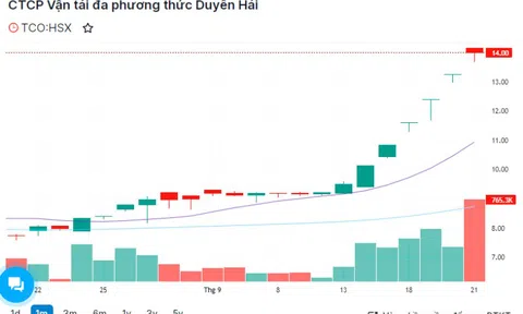 Cổ phiếu tăng trần 5 phiên liên tiếp, TCO giải trình ra sao?