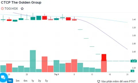 Chậm nộp báo cáo tài chính, loạt cổ phiếu bị HoSE cảnh báo
