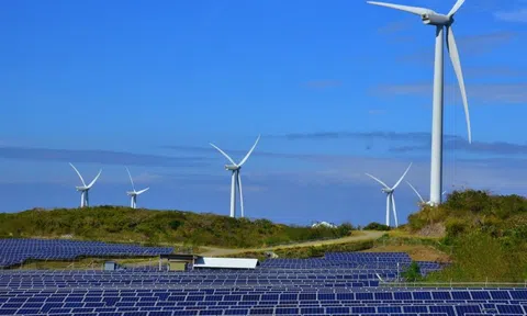 Thêm 1 dự án điện tái tạo chuyển tiếp gửi hồ sơ đàm phán giá với EVN