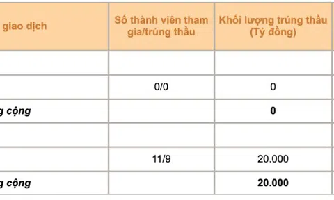 Ngân hàng Nhà nước tiếp tục phát hành thêm 20.000 tỷ đồng tín phiếu