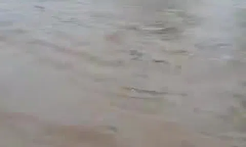 Hà Nội mưa to: Nhiều nơi chìm trong "biển nước"