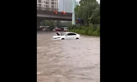 Clip: Cô gái trèo lên nắp capo ung dung lướt điện thoại giữa biển nước