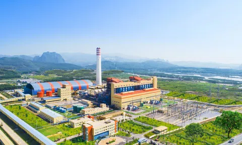 Tập đoàn đa ngành của đại gia Vũ Văn Tiền lãi gần 16 tỷ đồng nửa đầu năm