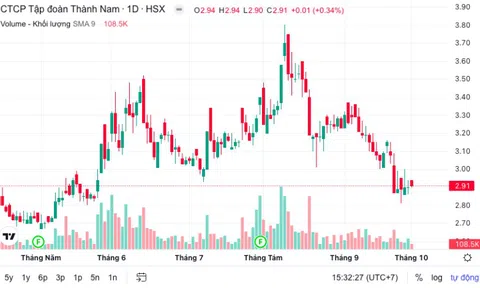 Tập đoàn Thành Nam sẽ làm gì để cổ phiếu TNI sớm thoát diện cảnh báo?