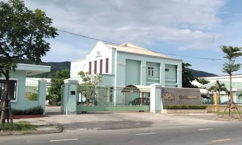 Vì sao Công ty Seadanang doanh thu trăm tỷ nhưng lợi nhuận nhỏ giọt?