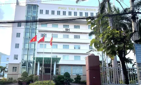 Bình Định: Lợi nhuận Công ty Cổ phần Phú Tài giảm mạnh vì đâu?