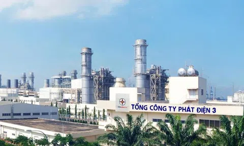 EVNGENCO 3 nhận quyết định của Cục thuế Doanh nghiệp lớn