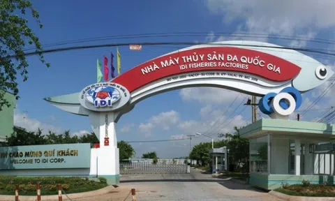 Nợ phải trả chiếm hơn nửa tổng tài sản của IDI