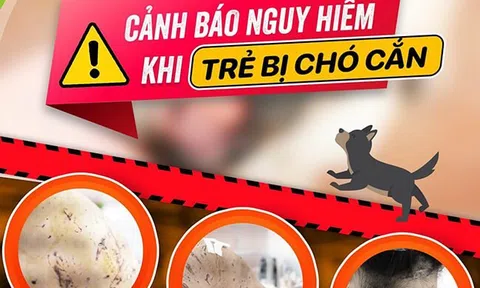 Theo bố tới chỗ làm việc, bé gái 7 tuổi bị 4 con chó cắn hàng trăm vết