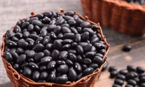 Uống nước đỗ đen rang: Vô vàn lợi ích với tim mạch, hệ tiêu hóa