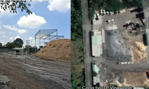 Đồng Nai: Trạm trộn bê tông Đại Lộc Phát có hành vi hủy hoại môi trường
