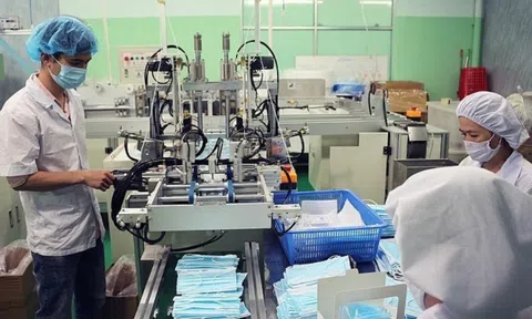 Danameco chuyển kế hoạch từ lãi 17,5 tỷ sang lỗ 41,5 tỷ