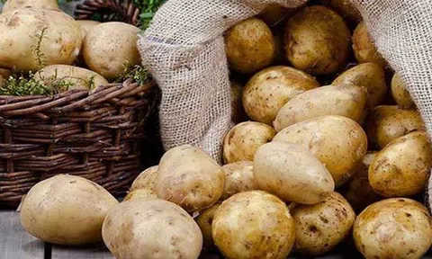 Vùi củ khoai tây xuống cát: Cả tháng không lo điều này, bỏ túi ngay để áp dụng