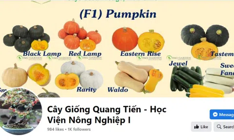 HTX Vân Đài có dấu hiệu mạo danh Học viện Nông nghiệp Việt Nam