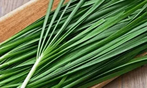 Loại rau đắt đỏ được thế giới yêu thích, ở Việt Nam đem cho không