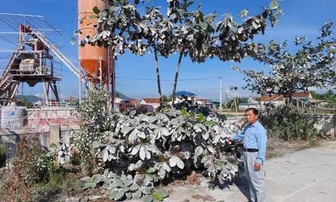 Không có cơ sở xử lý vi phạm trạm trộn bê tông khói bụi trắng