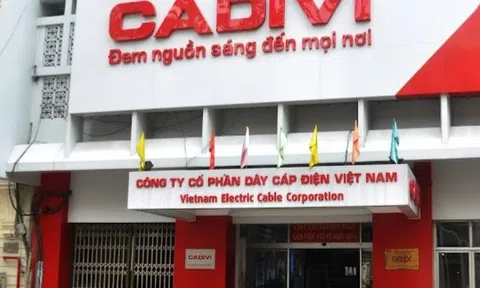 Cadivi bị xử phạt và truy thu hơn 1 tỷ đồng tiền thuế