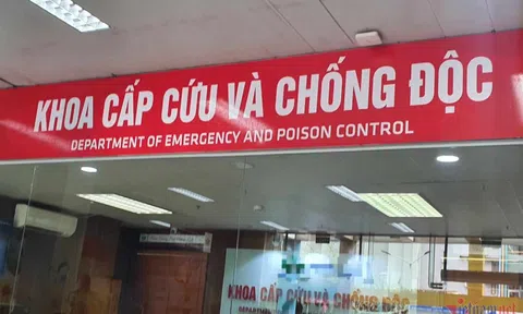 Luộc loại hạt quen thuộc trong vườn nhà ăn, ba bố con nhập viện cấp cứu
