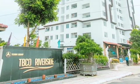 Vi phạm công bố thông tin, Tập đoàn Tiến Bộ bị phạt 260 triệu đồng