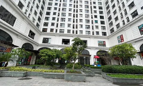 Giá nhà chung cư không ngừng tăng phi mã, bất ngờ với lý do này