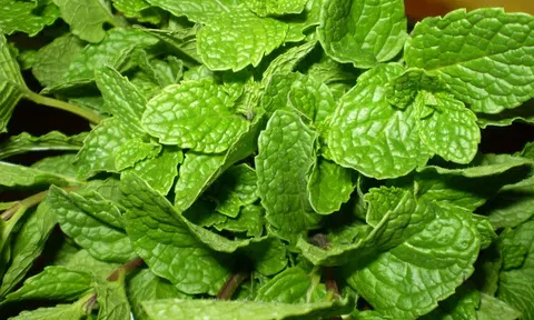 Top 6 loại gia vị vừa tăng thêm hương cho món ăn vừa hỗ trợ làm sạch thận