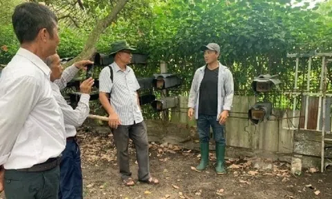 Anh nông dân miệt mài làm tổ "lạ", nuôi loài vật cho thu nhập cao