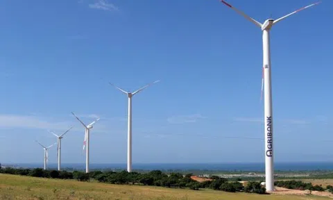 Chủ dự án điện gió đầu tiên tại Việt Nam bị ngân hàng rao bán nợ