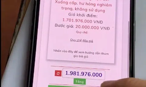 Công ty Đấu giá Thành An: Khách hàng không thể trả giá trong cuộc đấu tài sản của công ty CP Vận tải sông biển Cần Thơ