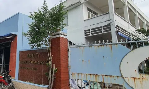 Công ty cổ phần In sách giáo khoa Hòa Phát bị phạt 225 triệu đồng