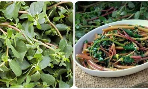 Loại rau dại "ngon xuất sắc", nhưng "đại kỵ" với 4 nhóm người này
