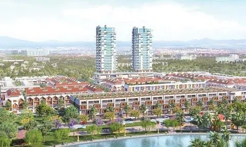 Xây dựng sai phép, Công ty Danh Khôi Holdings bị phạt 240 triệu đồng