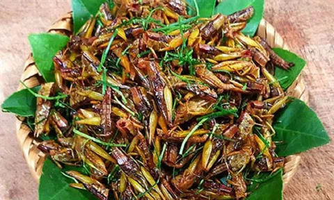 Tối nay ăn gì: Cho thứ này vào rang với châu chấu, lên tầm "đặc sản" dân nhậu thích mê