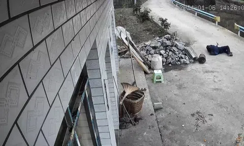 Clip: Thấy chủ ngã giữa đường, chú chó cưng có hành động bất ngờ
