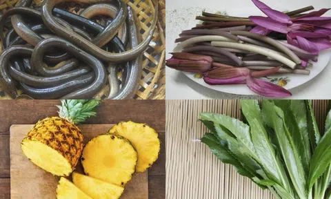 Công thức làm món canh chua lươn bông súng ăn là ghiền