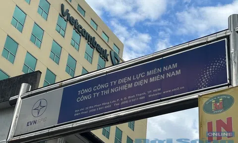 Trách nhiệm của công ty Thí nghiệm điện Miền Nam trong gói thầu có dấu hiệu đội giá hàng tỷ đồng?