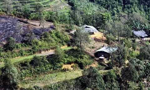 Ám ảnh lời kể của thiếu nữ 16 tuổi bị xâm hại nơi đất khách