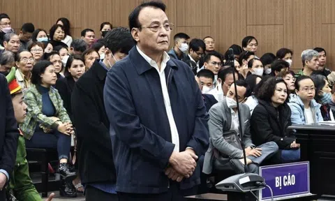 Tuyên án vụ Tân Hoàng Minh: Đỗ Anh Dũng lĩnh án 8 năm tù