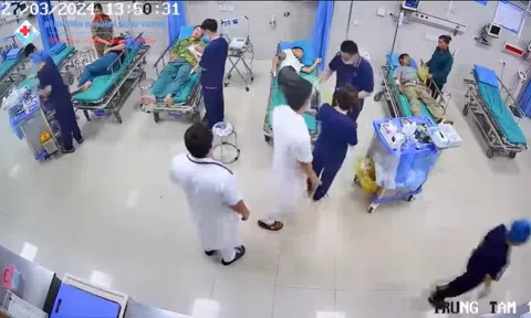 4 người nguy kịch sau khi uống rượu ngâm củ ấu tầu trong bữa trưa