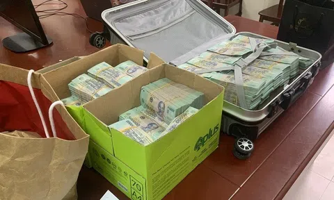 Đường dây đánh bạc nghìn tỷ: Hai mẹ con "nướng" hết hơn 240 tỷ đồng