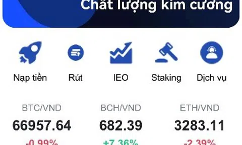 Nhờ "chồng online" dạy đầu tư, người phụ nữ mất gần 1 tỷ đồng