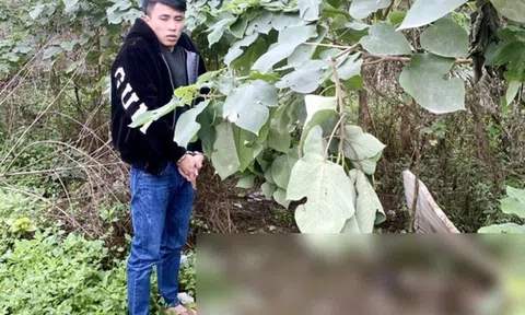 Vụ trai trẻ cướp iPhone 12 Promax của gái bán dâm: Bất ngờ lời khai