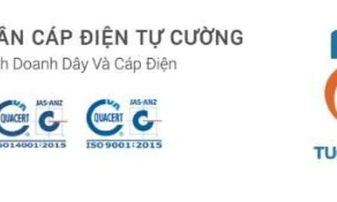 Công ty Cổ phần Cáp điện Tự Cường và mối quan hệ zích zắc với nhà thầu Tuấn Ân Hà Nội