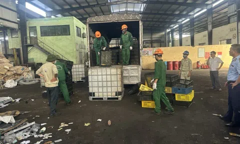 Hải Dương: Tiêu hủy 10.000 con vịt giống