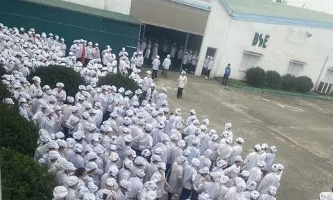 Nghệ An: Công nhân Công ty TNHH Điện tử BSE ngừng việc tập thể