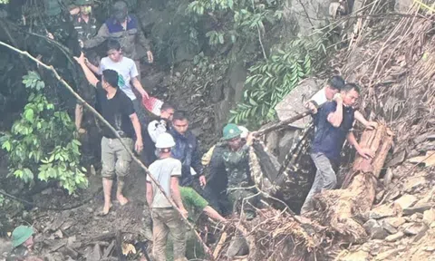 Vụ sạt lở 7 người thương vong: Tạm đình chỉ thi công cột móng số 28