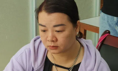 Bắt người phụ nữ chiếm đoạt gần 10 tỷ đồng thông qua mua bán đất