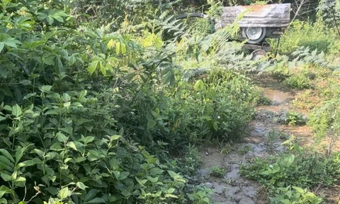 Đắk Nông: Một chủ trang trại heo bị phạt gần 500 triệu đồng
