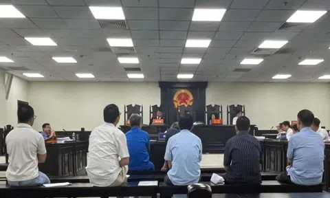 Hà Nội: Cựu Phó Chủ tịch huyện và loạt cán bộ ở huyện Gia Lâm lĩnh án do sai phạm đất đai