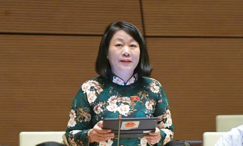 ĐBQH lo ngại bẫy "phân tầng giáo dục phổ thông" tại Hà Nội