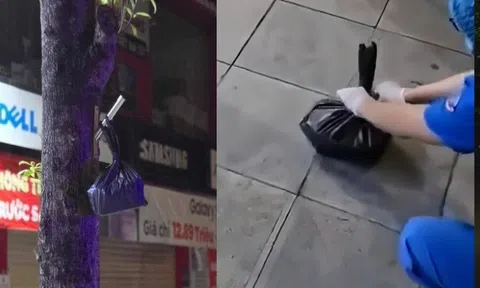 Phát hiện thi thể trẻ sơ sinh trong túi nilon đen treo trên thân cây ở Hà Nội